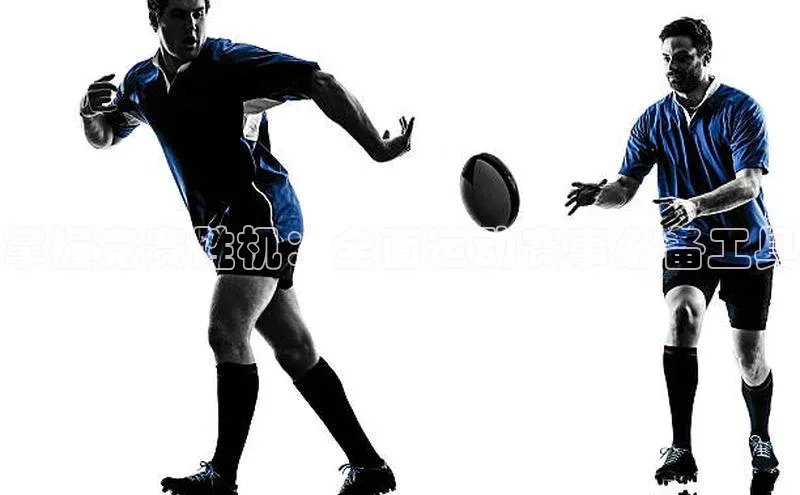 掌握竞赛胜机：全面运动赛事必备工具