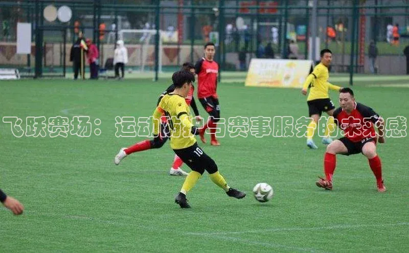 飞跃赛场：运动防护与赛事服务的未来感