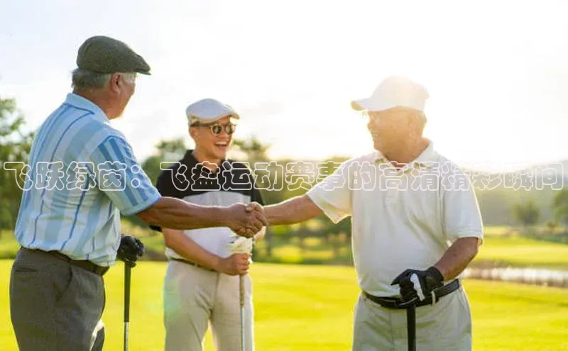 飞跃绿茵：飞盘运动赛事的高清精彩瞬间