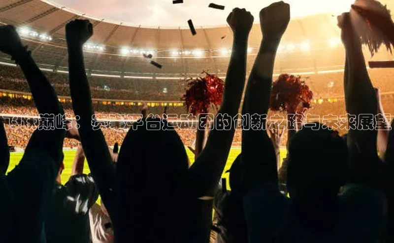 飞跃巅峰：赛事平台运动团的创新之路与未来展望