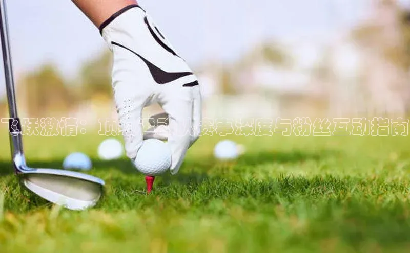 飞跃激情：顶级运动队赛事深度与粉丝互动指南