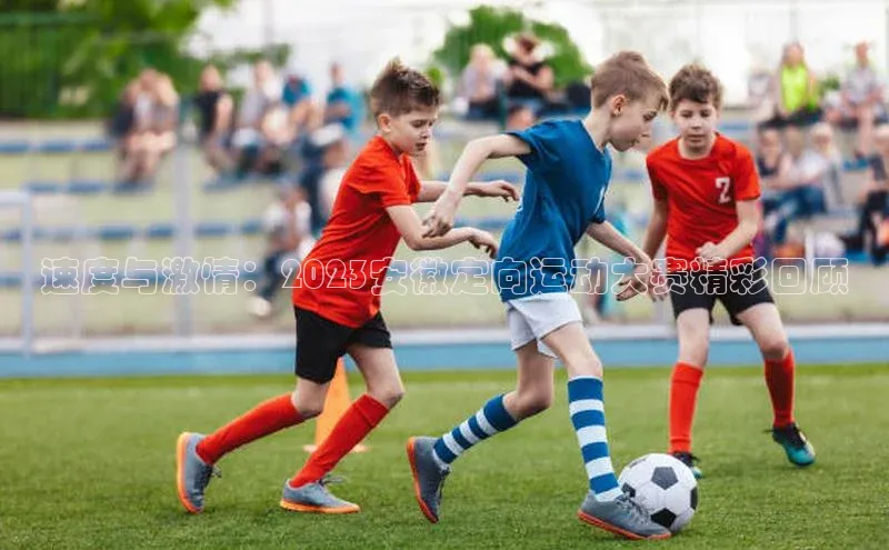 速度与激情：2023安徽定向运动大赛精彩回顾