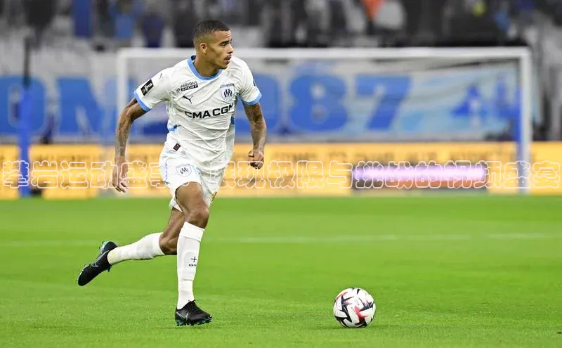 攀岩运动盛事：展现极限与挑战的视频盛宴