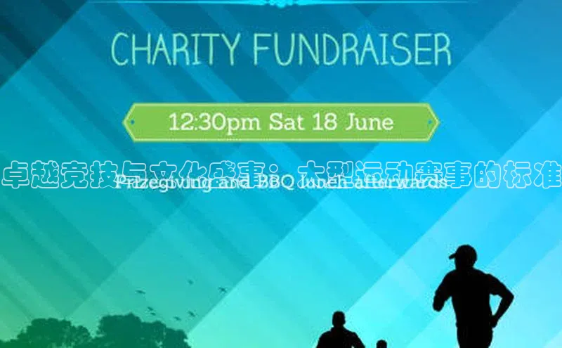 卓越竞技与文化盛事：大型运动赛事的标准