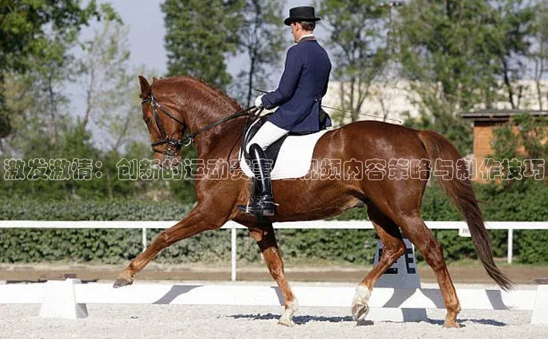 激发激情：创新的运动赛事短视频内容策略与制作技巧