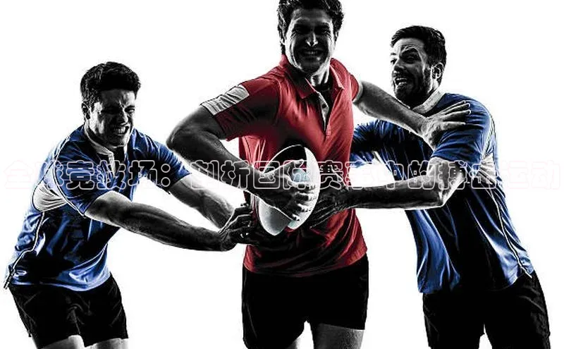 全球竞技场：剖析国际赛事中的搏击运动