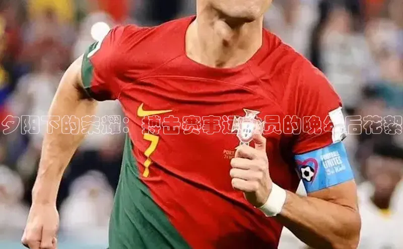 夕阳下的荣耀：搏击赛事运动员的晚年后花絮