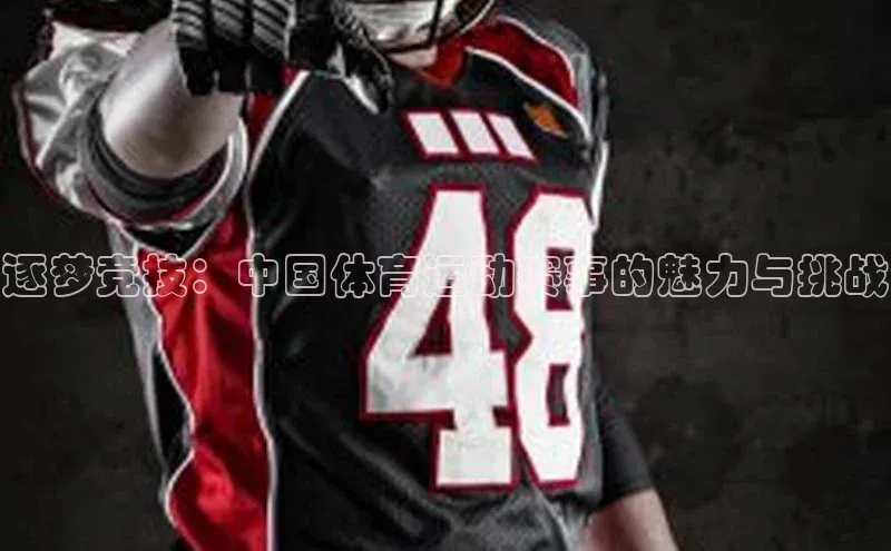 逐梦竞技：中国体育运动赛事的魅力与挑战